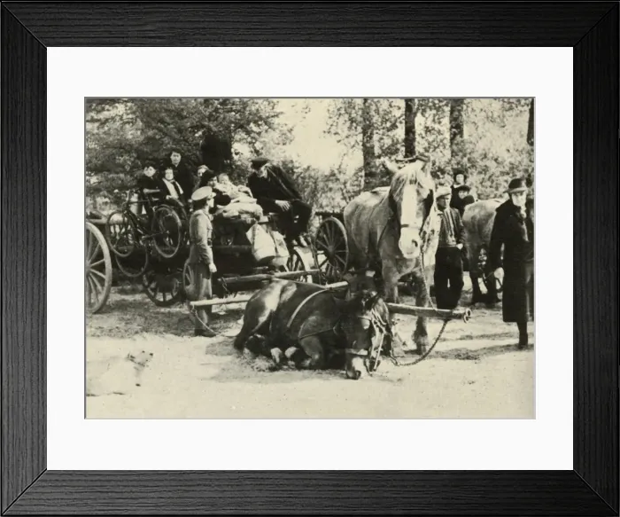 Framed Print : Belgian Refugees on the Road, 1939-1940, (1941). Creator: Unknown Framed Print : Belgian Refugees on the Road, 1939-1940, (1941). Creator: Unknown