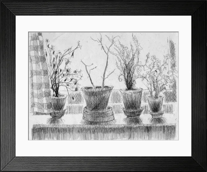 Framed Print : Dead plants on a windowsill, 1952. Creator: Shirley Markham Framed Print : Dead plants on a windowsill, 1952. Creator: Shirley Markham