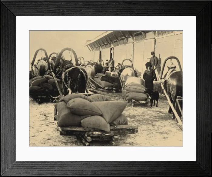 Framed Print : The food brigade (Prodotryad) in Siberia, 1920 Framed Print : The food brigade (Prodotryad) in Siberia, 1920