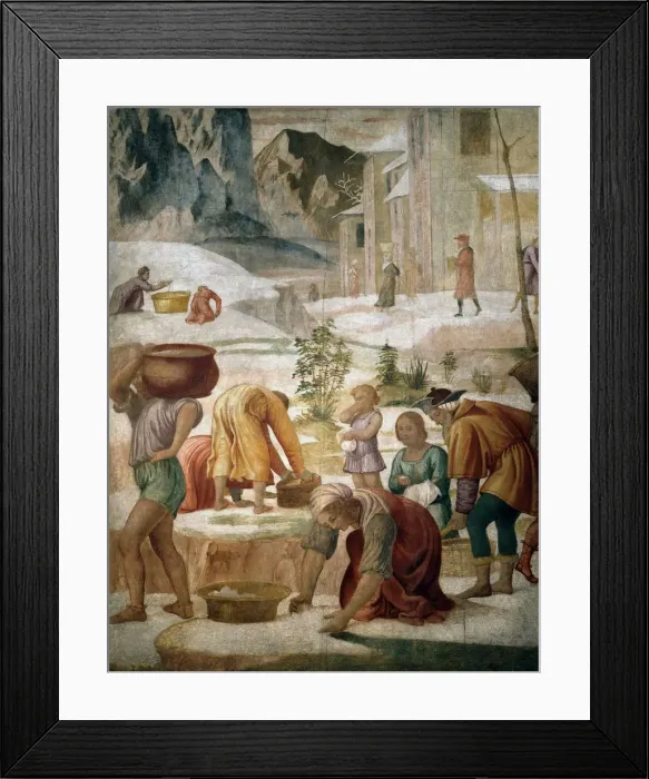 Framed Print : The Israelites gathering Manna, 1509-1510 Framed Print : The Israelites gathering Manna, 1509-1510