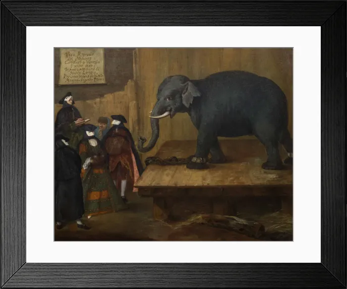 Framed Print : The Elephant, 1774 Framed Print : The Elephant, 1774