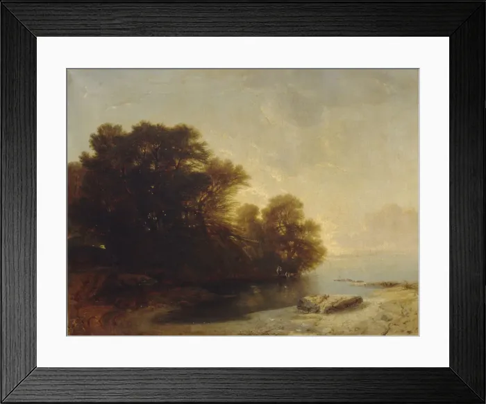 Framed Print : Trees at the lake Framed Print : Trees at the lake