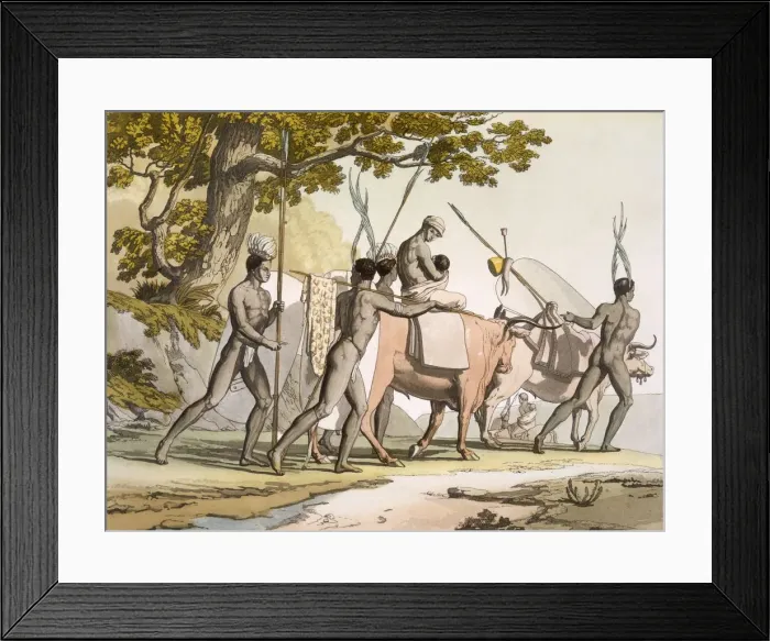 Framed Print : Korah Hottentots of the Cape on the move, Vol II, c1820-40. Creator: Sir John Barrow (1764-1848) Framed Print : Korah Hottentots of the Cape on the move, Vol II, c1820-40. Creator: Sir John Barrow (1764-1848)