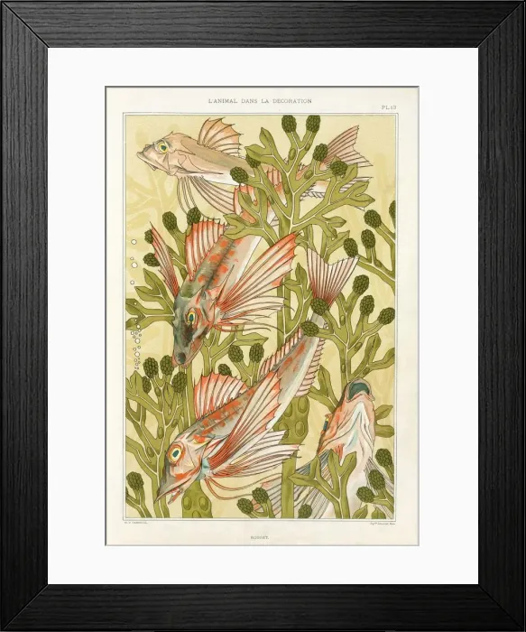 Framed Print : Red Mullet, pub. 1897. Creator: Maurice Pillard Verneuil (1869?1942) Framed Print : Red Mullet, pub. 1897. Creator: Maurice Pillard Verneuil (1869?1942)