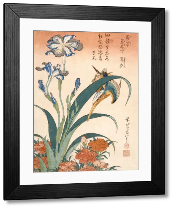 Framed Print : Kingfisher, Irises and Pinks, published c1834. Creator: Katsushika Hokusai (1760-1849) Framed Print : Kingfisher, Irises and Pinks, published c1834. Creator: Katsushika Hokusai (1760-1849)