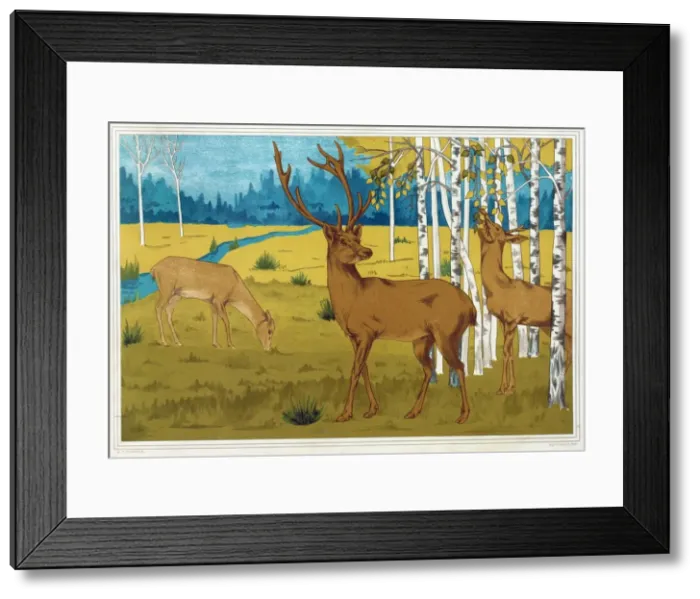 Framed Print : Deer, from L Animal dans la Decoration, pub. 1897. Creator: Maurice Pillard Verneuil Framed Print : Deer, from L Animal dans la Decoration, pub. 1897. Creator: Maurice Pillard Verneuil