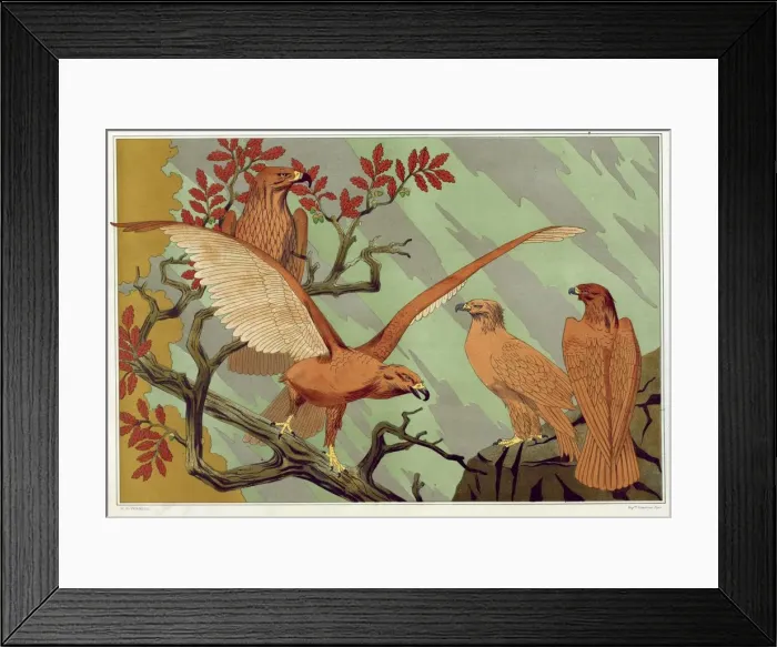 Framed Print : Eagles, pub. 1897. Creator: Maurice Pillard Verneuil (1869?1942) Framed Print : Eagles, pub. 1897. Creator: Maurice Pillard Verneuil (1869?1942)