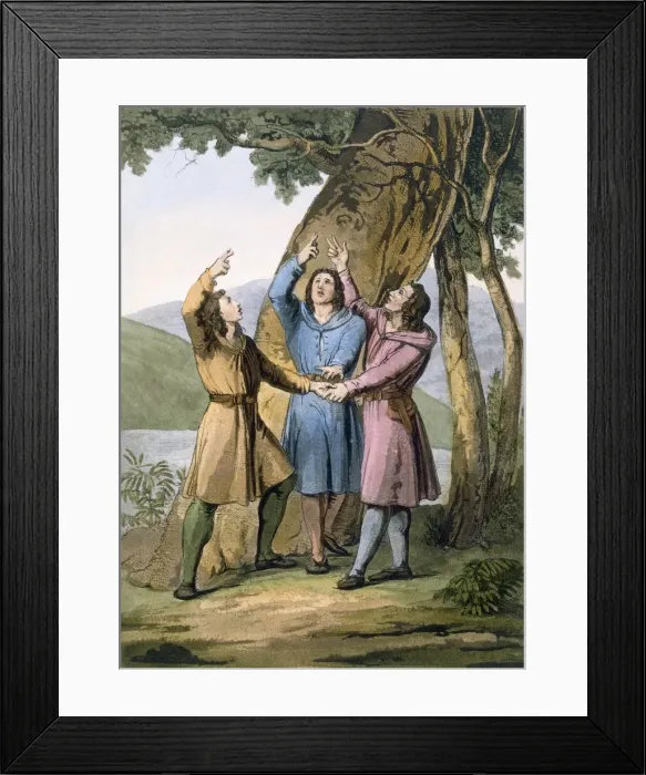 Framed Print : Switzerland: The three leaders of the Helvetian Confederation. Creator: Gallo Gallina (1796-1874) Framed Print : Switzerland: The three leaders of the Helvetian Confederation. Creator: Gallo Gallina (1796-1874)