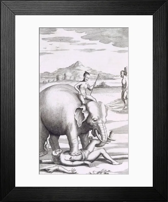 Framed Print : An execution by an elephant, pub. 1681. Creator: Robert Knox (1641-1720) Framed Print : An execution by an elephant, pub. 1681. Creator: Robert Knox (1641-1720)