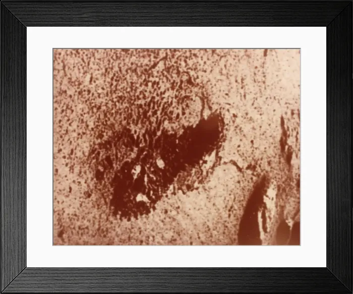 Framed Print : Trench excavated by surface sampler, Viking 1 Mission to Mars, 1976. Creator: NASA Framed Print : Trench excavated by surface sampler, Viking 1 Mission to Mars, 1976. Creator: NASA