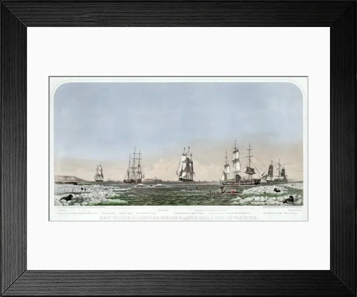 Framed Print : Right Whaling in Behering Straits & Arctic Ocean with its Varieties, pub. 1871 Framed Print : Right Whaling in Behering Straits & Arctic Ocean with its Varieties, pub. 1871