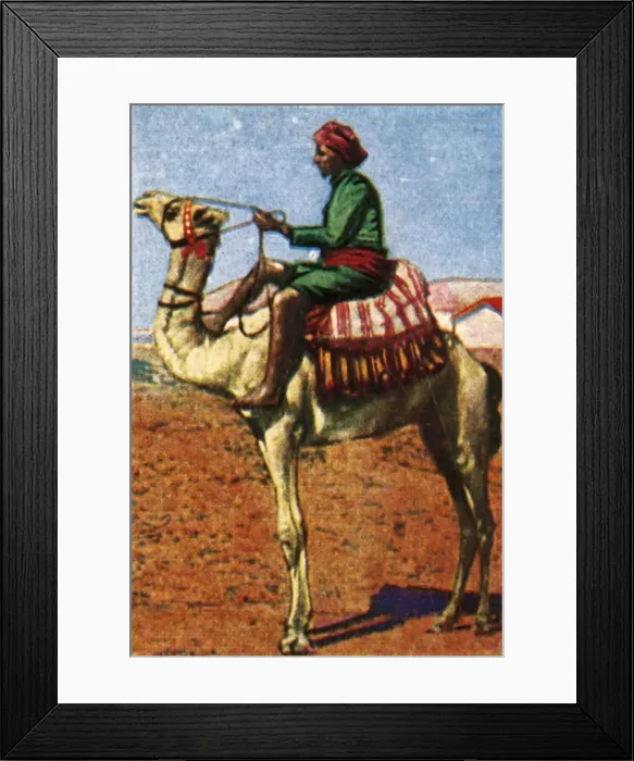 Framed Print : Post delivered by camel, Arabia, c1928. Creator: Unknown