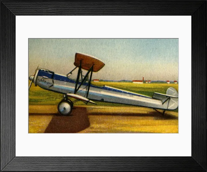 Framed Print : Albatros L 82 plane, 1920s, (1932). Creator: Unknown Framed Print : Albatros L 82 plane, 1920s, (1932). Creator: Unknown