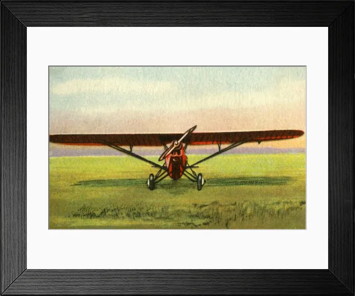 Framed Print : Albatros L 101 plane, 1932. Creator: Unknown Framed Print : Albatros L 101 plane, 1932. Creator: Unknown