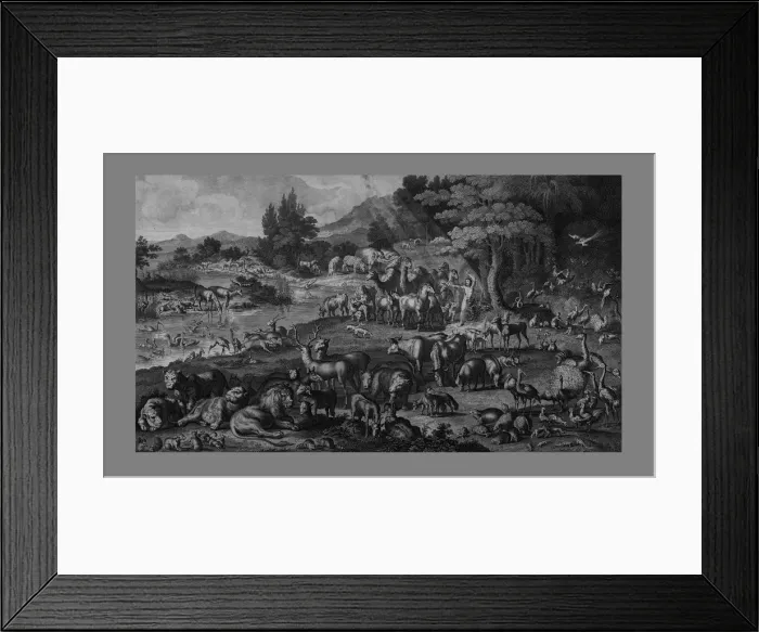 Framed Print : Adam naming the Creation, (1818). Creator: Unknown Framed Print : Adam naming the Creation, (1818). Creator: Unknown