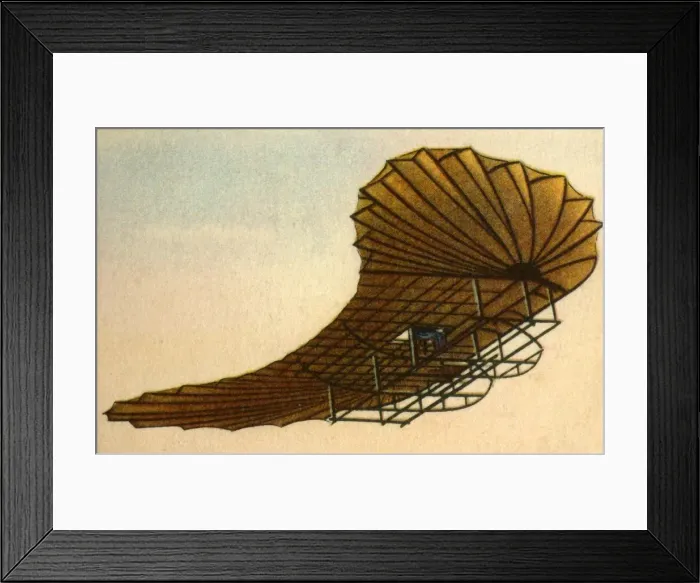 Framed Print : Etrichs Zanonia glider, 1906. (1932). Creator: Unknown Framed Print : Etrichs Zanonia glider, 1906. (1932). Creator: Unknown