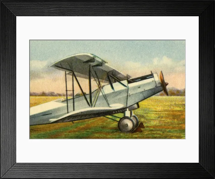 Framed Print : Albatros L 75a Ass plane, 1920s, (1932). Creator: Unknown Framed Print : Albatros L 75a Ass plane, 1920s, (1932). Creator: Unknown