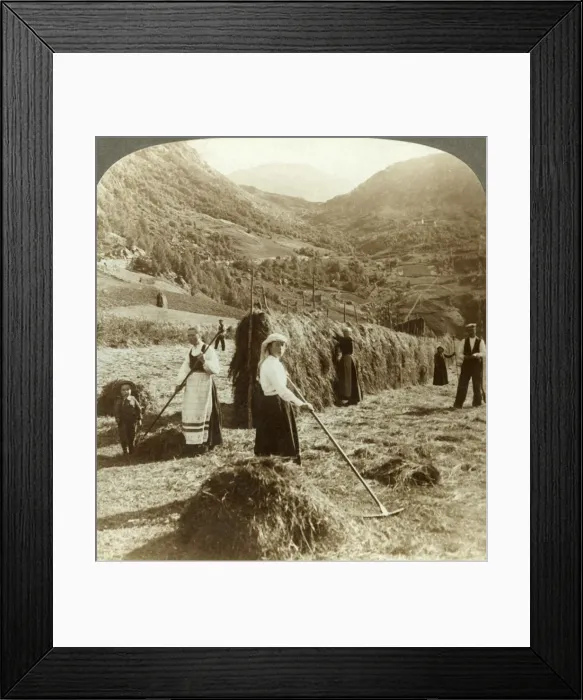 Framed Print : A farmers family making hay in a sunny field between the mountains, Roldal, Norway, c1905 Framed Print : A farmers family making hay in a sunny field between the mountains, Roldal, Norway, c1905