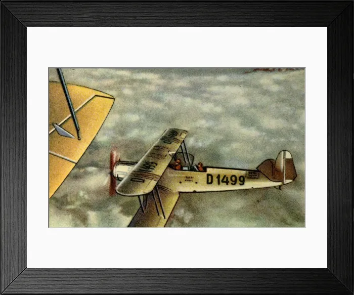 Framed Print : Albatros L 75 Ass plane, 1920s, (1932). Creator: Unknown Framed Print : Albatros L 75 Ass plane, 1920s, (1932). Creator: Unknown