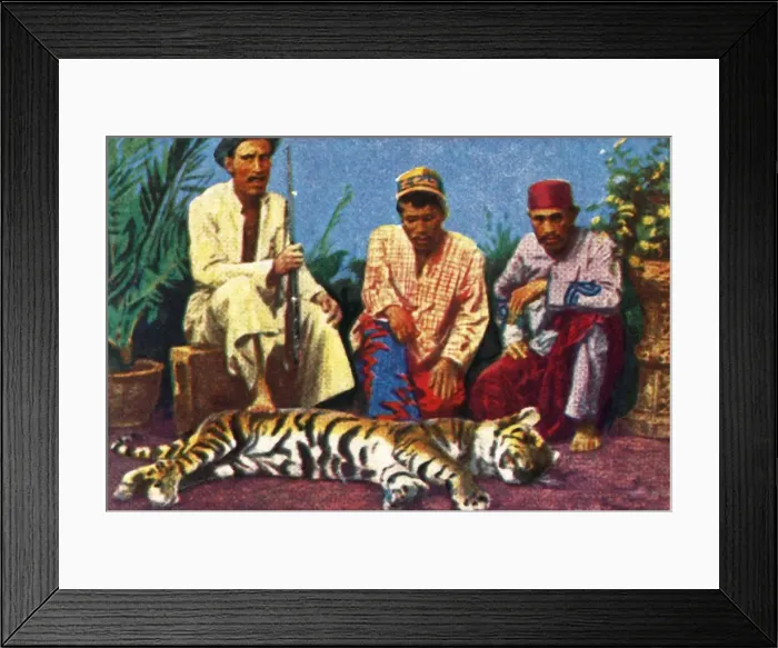 Framed Print : Hunters with dead tiger in Sumatra, c1928. Creator: Unknown