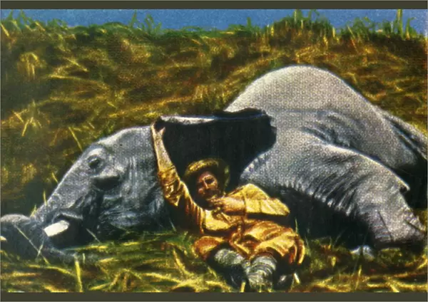 Trophy-hunter with dead elephant, c1928. Creator: Unknown