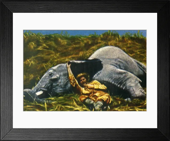 Framed Print : Trophy-hunter with dead elephant, c1928. Creator: Unknown Framed Print : Trophy-hunter with dead elephant, c1928. Creator: Unknown