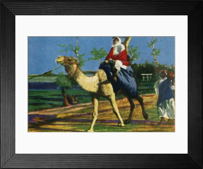 Framed Print : Bedouin riding a camel, Egypt, c1928. Creator: Unknown Framed Print : Bedouin riding a camel, Egypt, c1928. Creator: Unknown