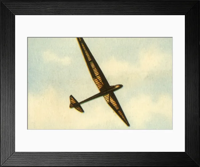 Framed Print : The Lippisch Wien glider, 1929, (1932). Creator: Unknown Framed Print : The Lippisch Wien glider, 1929, (1932). Creator: Unknown