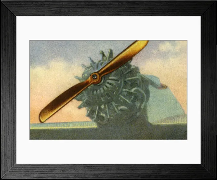 Framed Print : Wooden aircraft propeller made by the Schwarz Propeller-Werk company, 1932. Creator: Unknown Framed Print : Wooden aircraft propeller made by the Schwarz Propeller-Werk company, 1932. Creator: Unknown