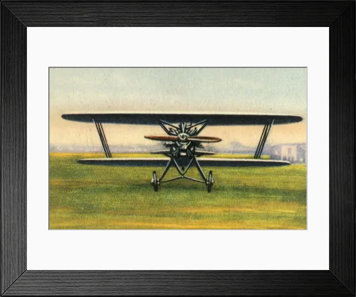 Framed Print : Raab-Katzenstein RK-26 Tigerschwalbe plane, 1920s, (1932). Creator: Unknown Framed Print : Raab-Katzenstein RK-26 Tigerschwalbe plane, 1920s, (1932). Creator: Unknown