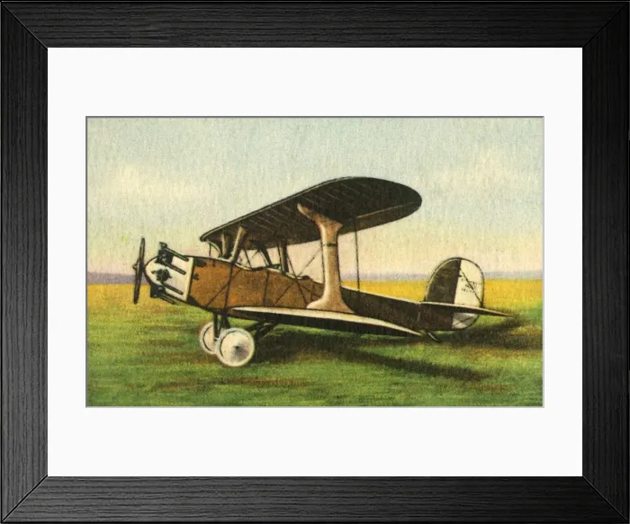 Framed Print : Udet U 12b Flamingo, 1920s, (1932). Creator: Unknown Framed Print : Udet U 12b Flamingo, 1920s, (1932). Creator: Unknown