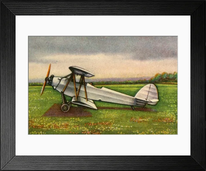 Framed Print : Raab-Katzenstein RK. 9 Grasümcke plane, 1920s, (1932). Creator: Unknown Framed Print : Raab-Katzenstein RK. 9 Grasümcke plane, 1920s, (1932). Creator: Unknown