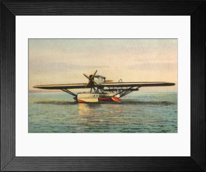Framed Print : Dornier Wal flying boat, 1920s, (1932). Creator: Unknown Framed Print : Dornier Wal flying boat, 1920s, (1932). Creator: Unknown