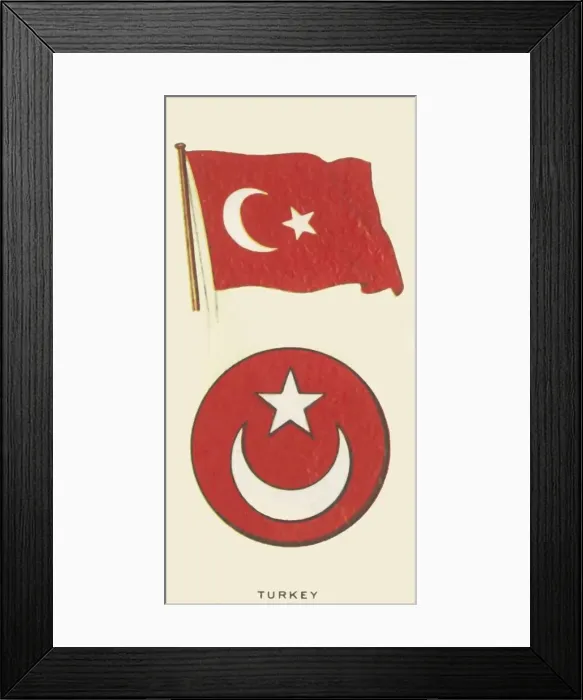 Framed Print : Turkey, c1935. Creator: Unknown Framed Print : Turkey, c1935. Creator: Unknown