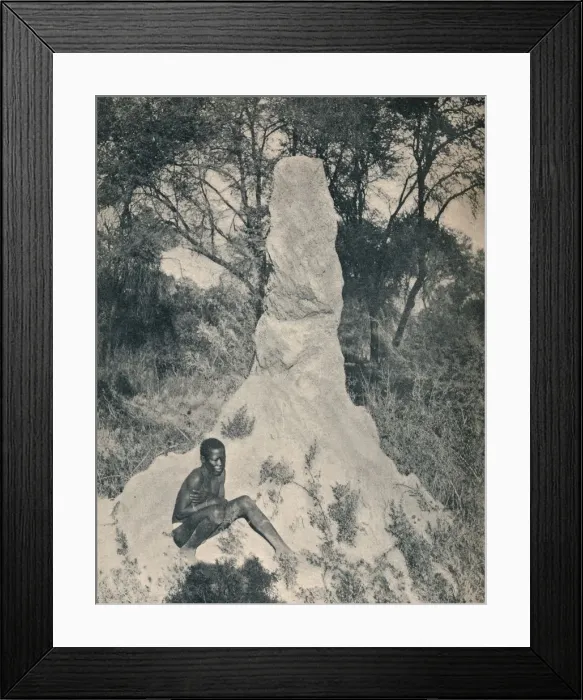 Framed Print : One of the Giant Ant Heaps peculiar to some districts of South Africa, c1900. Creator: Unknown Framed Print : One of the Giant Ant Heaps peculiar to some districts of South Africa, c1900. Creator: Unknown