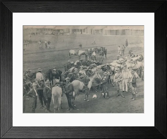 Framed Print : Plumers Horse, c1900. Creator: Unknown Framed Print : Plumers Horse, c1900. Creator: Unknown