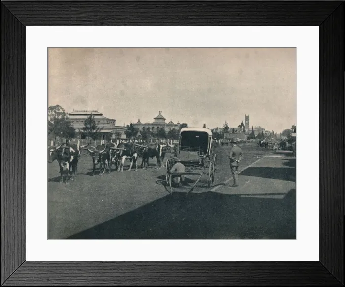 Framed Print : Pietermaritzburg, c1900. Creator: Unknown Framed Print : Pietermaritzburg, c1900. Creator: Unknown