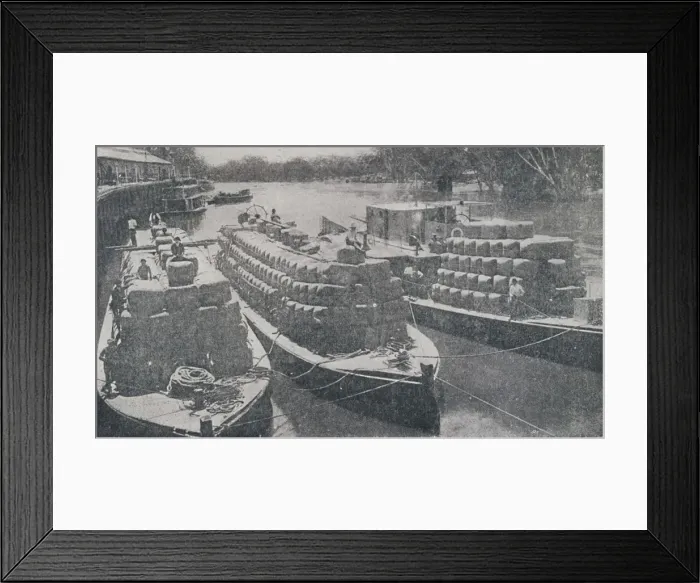 Framed Print : Wool Barges on the Murray River, 1923. Creator: Unknown Framed Print : Wool Barges on the Murray River, 1923. Creator: Unknown