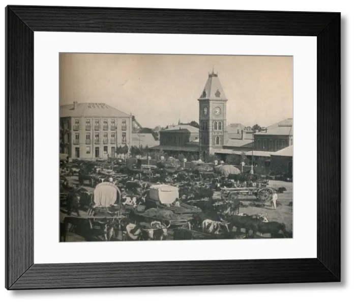 Framed Print : The Market, Kimberley, c1900. Creator: Unknown Framed Print : The Market, Kimberley, c1900. Creator: Unknown