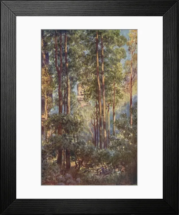 Framed Print : A Bush Valley in New South Wales, 1923. Creator: Unknown Framed Print : A Bush Valley in New South Wales, 1923. Creator: Unknown