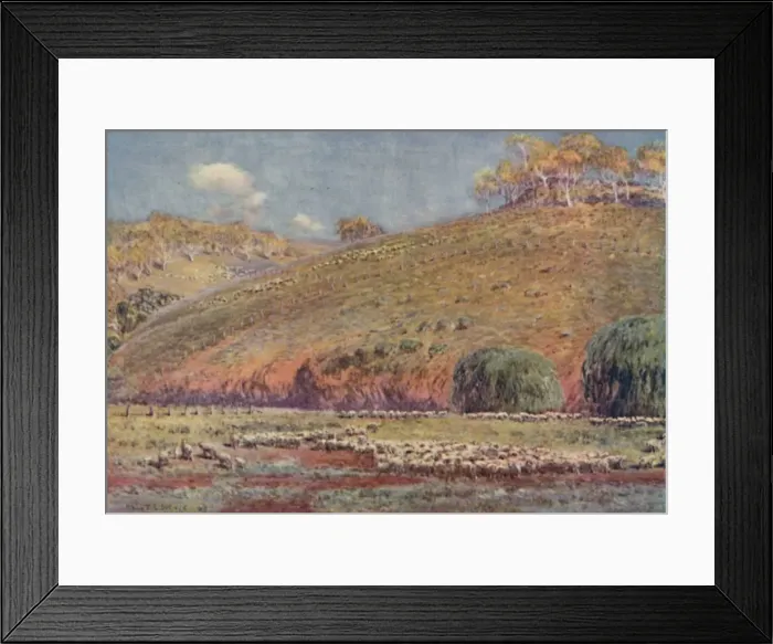 Framed Print : A Sheep-Run, 1923. Creator: Unknown Framed Print : A Sheep-Run, 1923. Creator: Unknown