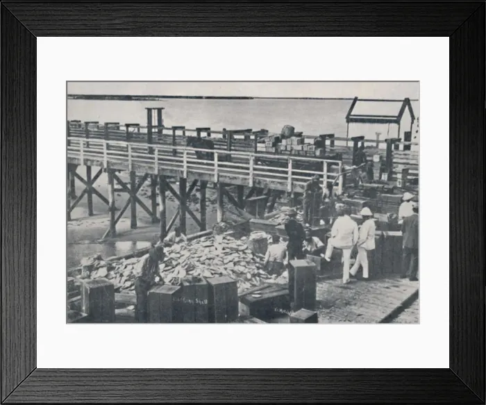 Framed Print : The Pearl Fishing Industry - Packing Shell, 1923. Creator: Unknown Framed Print : The Pearl Fishing Industry - Packing Shell, 1923. Creator: Unknown