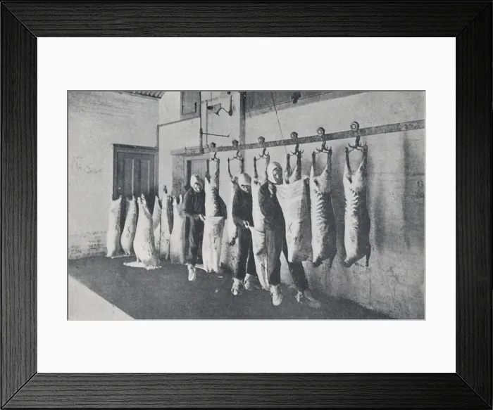 Framed Print : Frozen Meat, 1923. Creator: Unknown Framed Print : Frozen Meat, 1923. Creator: Unknown