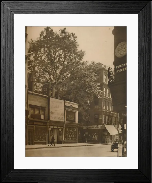 Framed Print : A Favoured Inmate of the City: The Plane-Tree in Cheapside, c1935. Creator: SO Gorse Framed Print : A Favoured Inmate of the City: The Plane-Tree in Cheapside, c1935. Creator: SO Gorse