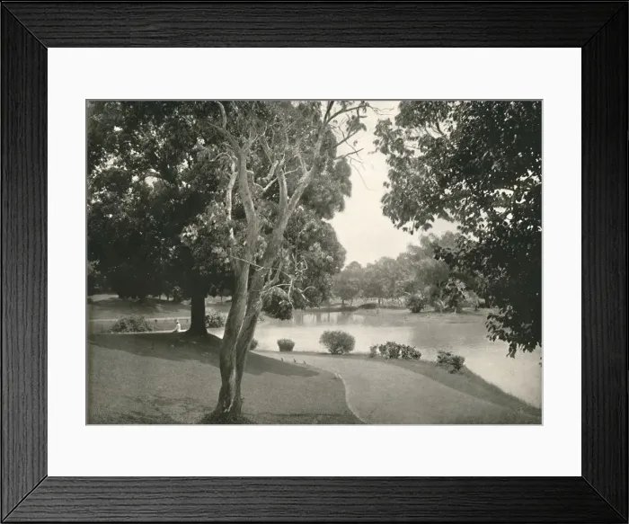 Framed Print : Royal Lakes, Rangoon, 1900. Creator: Unknown Framed Print : Royal Lakes, Rangoon, 1900. Creator: Unknown