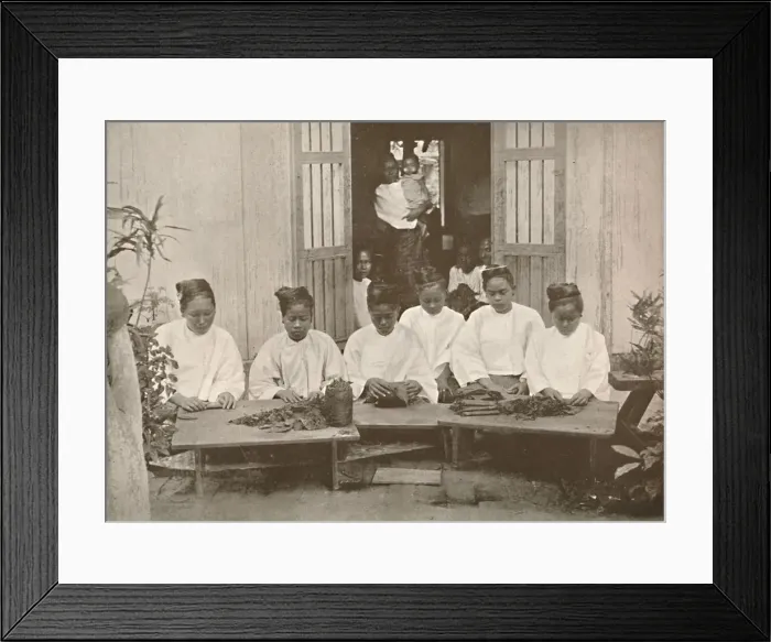 Framed Print : Burmese Cigar Makers, 1900. Creator: Unknown Framed Print : Burmese Cigar Makers, 1900. Creator: Unknown