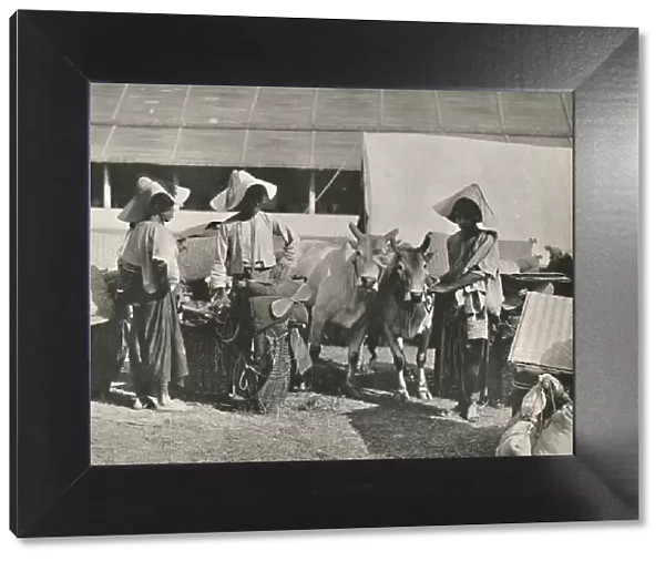 Caravan Scene with Shans at Bhamo, 1900. Creator: Unknown