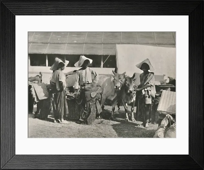 Framed Print : Caravan Scene with Shans at Bhamo, 1900. Creator: Unknown