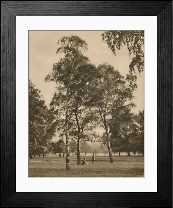 Framed Print : The Lace-Work of the Leaves: A Summer Morning in Hyde Park, c1935. Creator: Donald McLeish Framed Print : The Lace-Work of the Leaves: A Summer Morning in Hyde Park, c1935. Creator: Donald McLeish