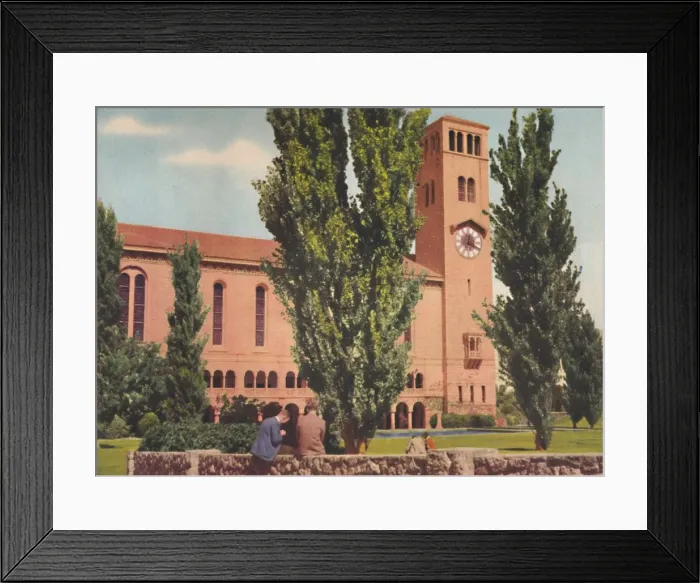 Framed Print : The University, c1947. Creator: Unknown Framed Print : The University, c1947. Creator: Unknown